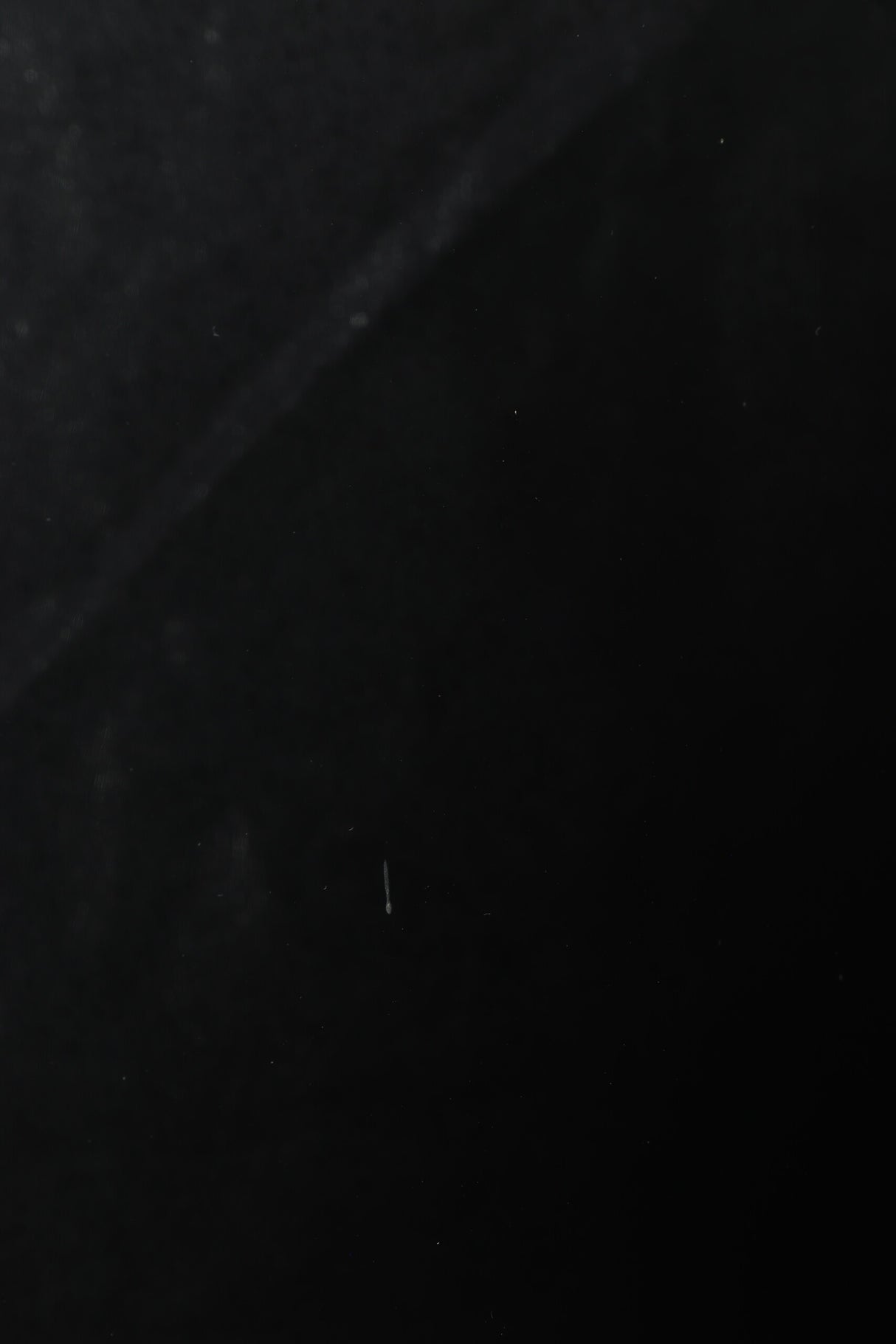 Meridian DSP5200SE Floorstanding Speakers - Black