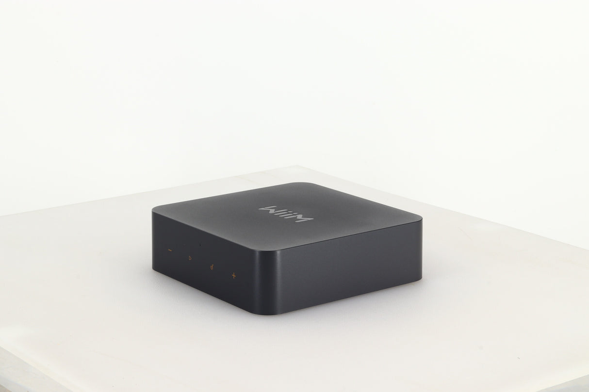 Wiim Pro Plus Streamer