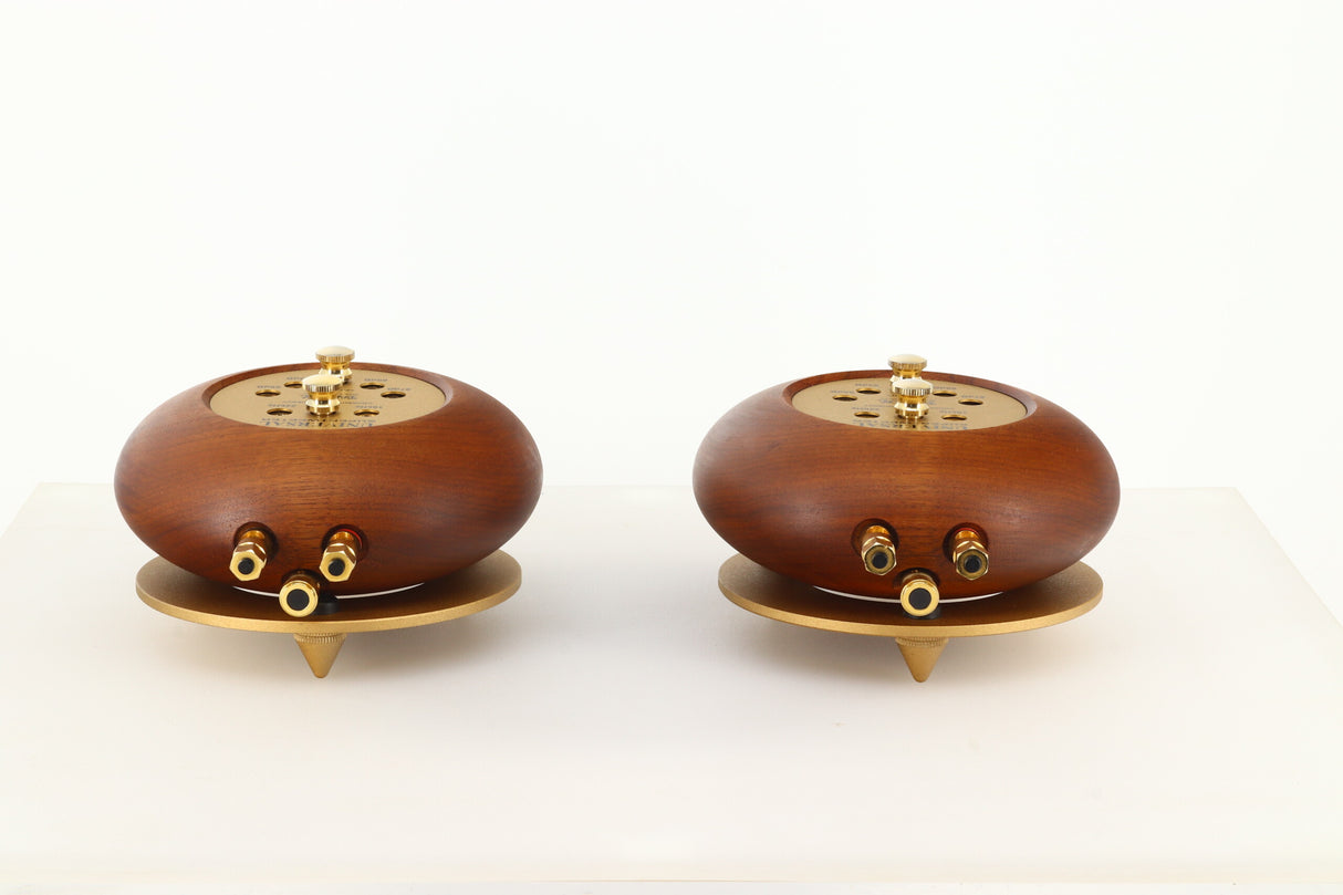 Tannoy ST-100 Universal Supertweeters