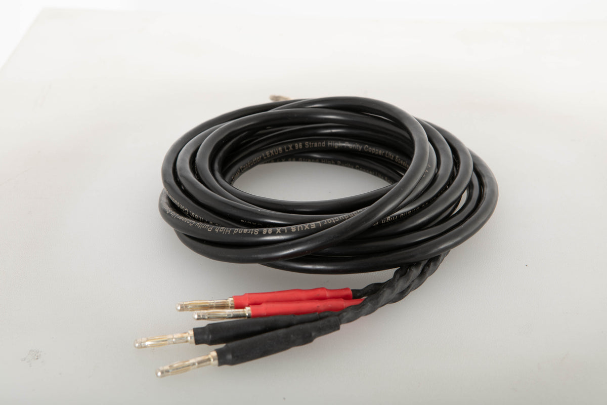 Side view of a used Audio Note AN-LEXUS LX Bi-Wire 2.0m Speaker Cable