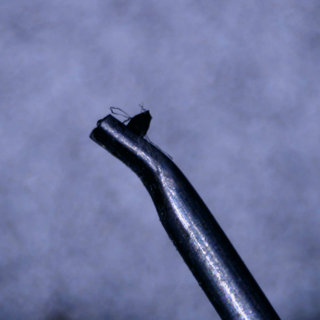 Close up of a used Rega ND3 Moving Magnet Cartridge showing stylus