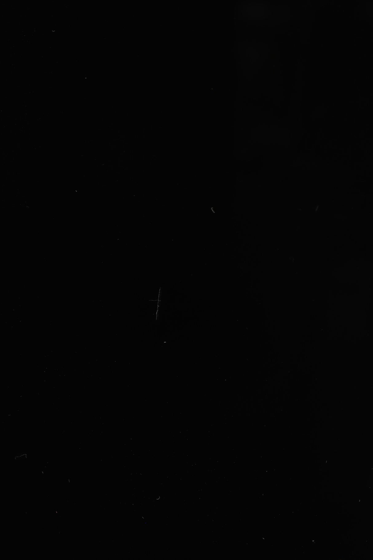 Rosso Fiorentino Audio Volterra Mk2 Floorstanding Speakers - Black