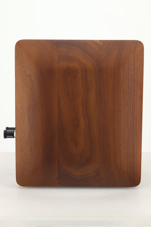 Diapason Micra III Excel Standmount Speakers - Natural Wood