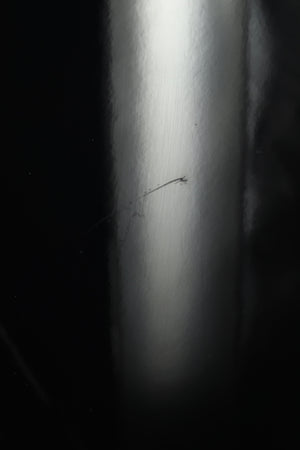 PMC Twenty5 24i Floorstanding Speakers - Diamond Black