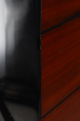 Usher Dancer Mini 2 DMD Floorstanding Speakers - Piano Black / Walnut