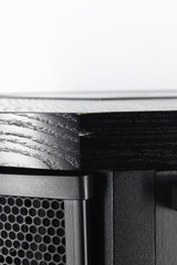 Martin Logan Descent I Active Subwoofer - Black