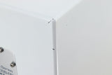 BK Platinum Series P12-300SB-PR Subwoofer - White