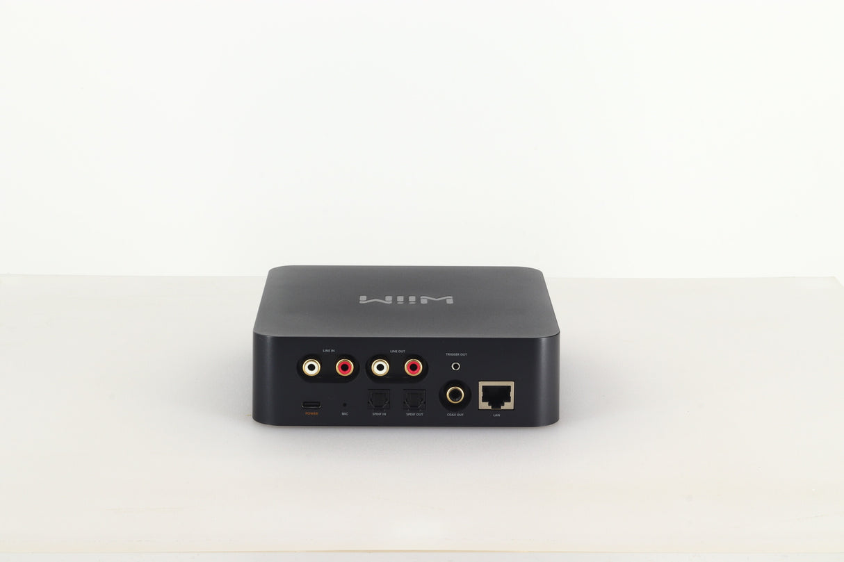Wiim Pro Plus Streamer