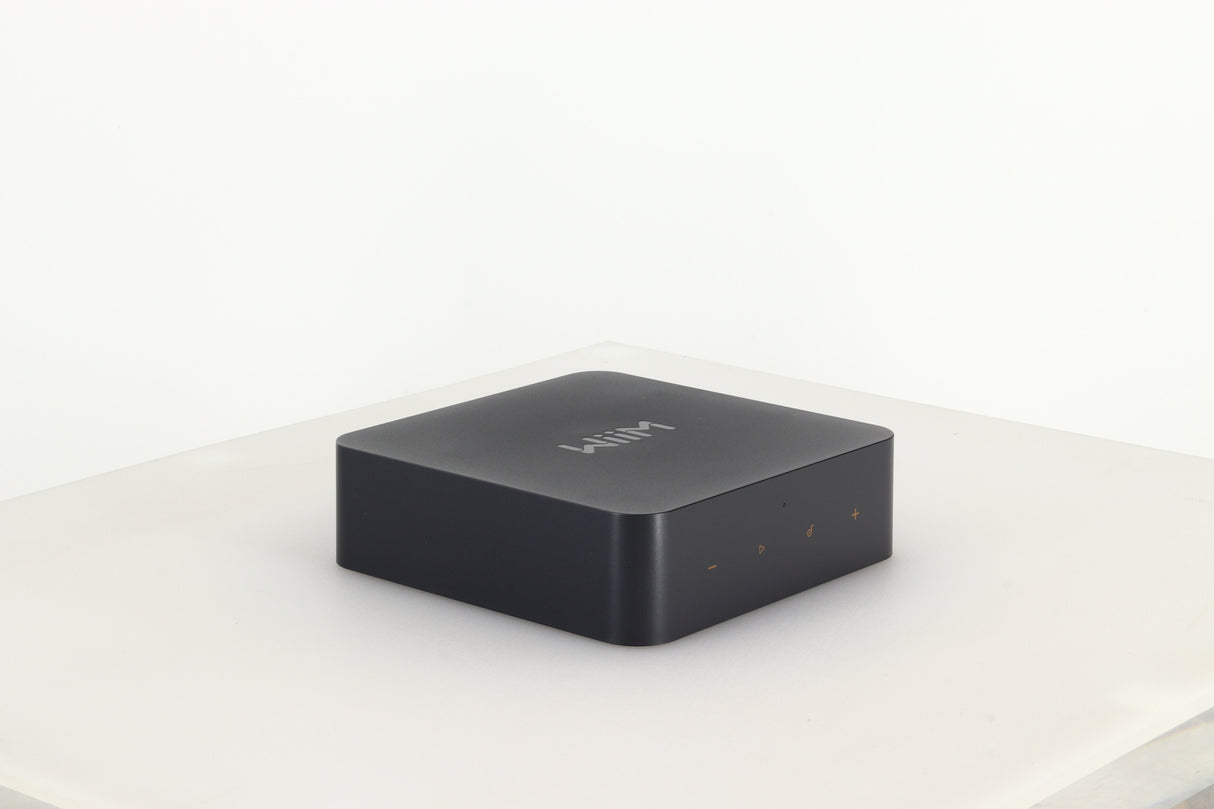 Wiim Pro Plus Streamer