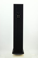 Proac D20R Floorstanding Speakers - Black Ash