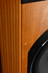 B&W 802 Diamond Floorstanding Speakers - Cherry