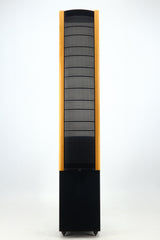Martin Logan Aeon Electrostatic Floorstanding Speakers