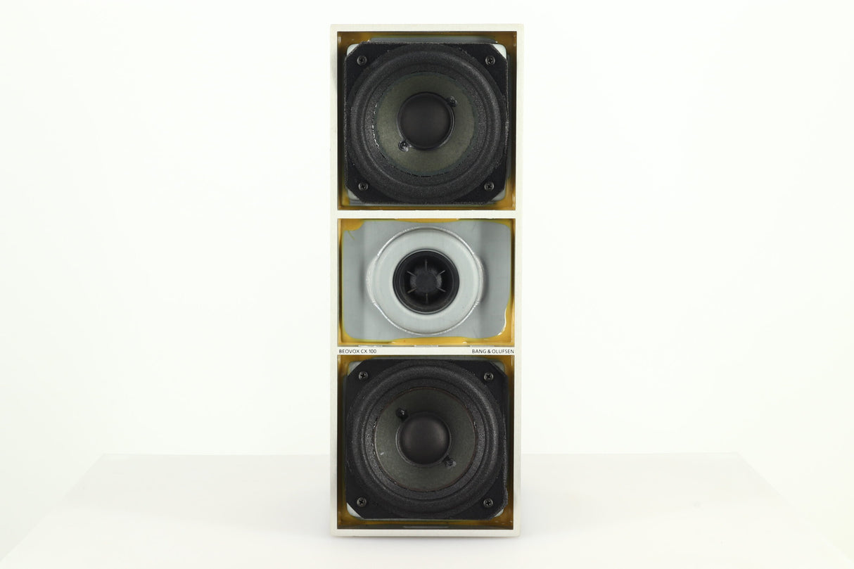 Bang and Olufsen Beovox CX100 Standmount Speakers - Silver