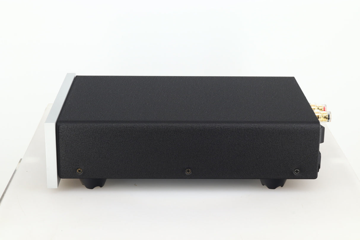 Bel Canto REF1000 Monoblock Power Amplifiers - Silver