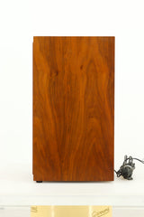 Sony SS210 Standmount Speakers - Teak