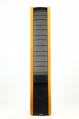 Martin Logan Aerius Floorstanding Speakers - Black