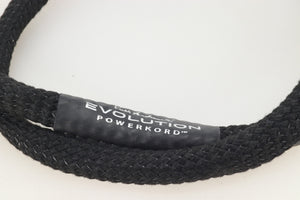 Russ Andrews EVO 500 Powerkord 1.0m / 10A Rhodium UK Plug / C15 Rhodium Wattgate Connector