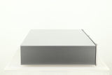 ATC CA2 Pre Amplifier - Silver