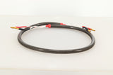 Chord Company Epic Speaker Cable 1.0m Pair