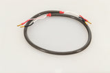 Chord Company Epic Speaker Cable 1.0m Pair