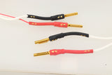 Chord Company Epic Speaker Cable 1.0m Pair