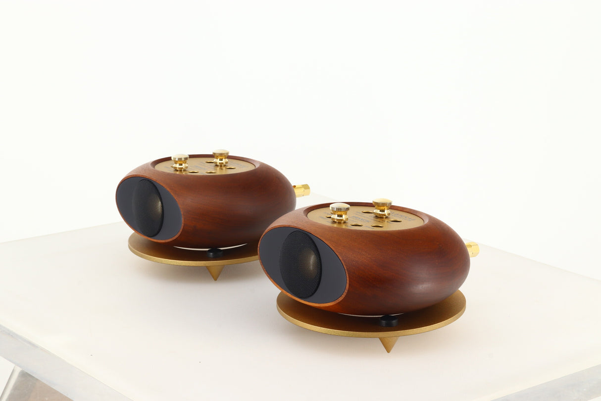 Tannoy ST-100 Universal Supertweeters