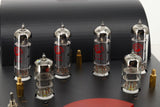 Puresound A10 Integrated Amplifier