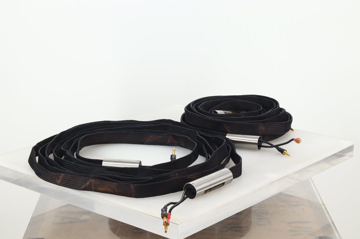 Townshend Audio Isolda Speaker Cables 6.0m Pair