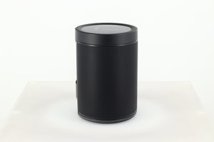 Yamaha MusicCast 20 Speaker (WX-21) - Black