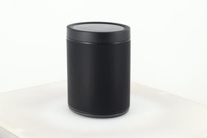 Yamaha MusicCast 20 Speaker (WX-21) - Black