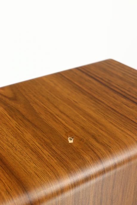 Close up of a used Acoustic Energy AE109 Series Floorstanding Speaker in a walnut finish showing some damage