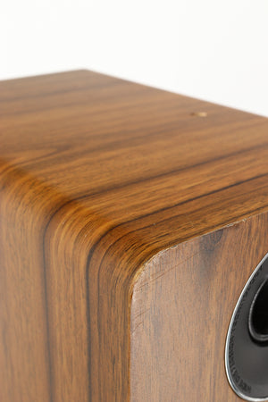Close up of a used Acoustic Energy AE109 Series Floorstanding Speaker in a walnut finish showing some damage