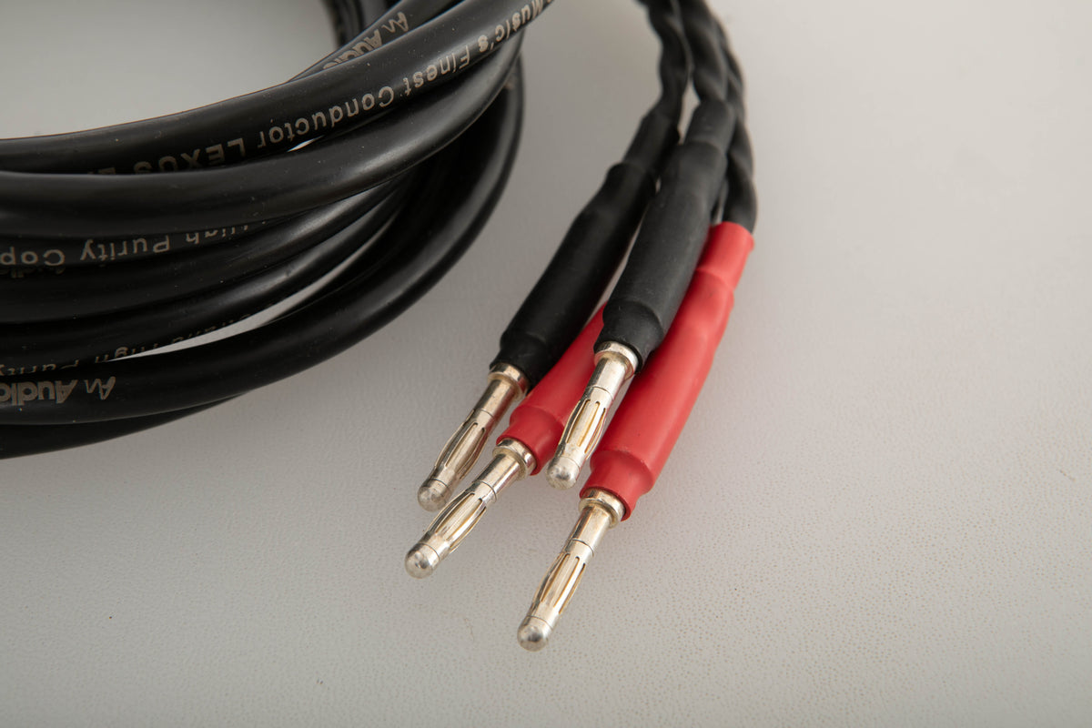 Close up view of a used Audio Note AN-LEXUS LX Bi-Wire 2.0m Speaker Cable