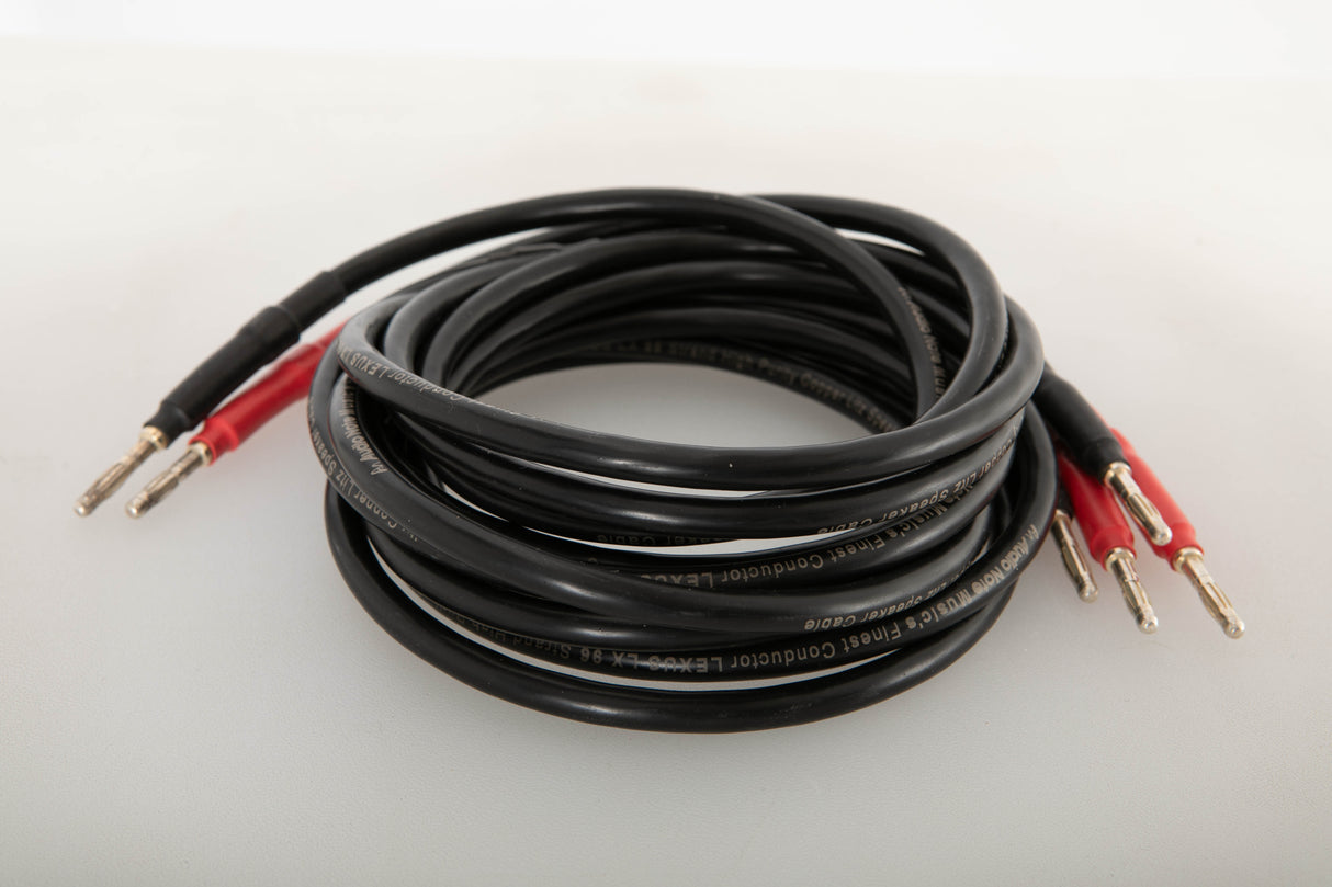 Side view of a used Audio Note AN-LEXUS LX Bi-Wire 2.0m Speaker Cable