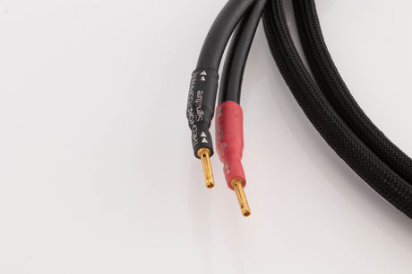 Close up view of a used Chord Company Signature 1.5m Speaker Cable 