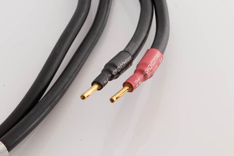 Close up view of a used Chord Company Signature 1.5m Speaker Cable 