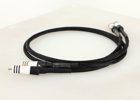 Rear right angle of a used Chord Company Signature Tuned ARAY RCA-RCA Interconnect Cable 1.0m