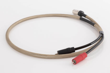 Rear view of a used Chord Epic X 2RCA-DIN 1.0m Interconnect Cable