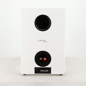 Rear view of a used Cyrus ONE Linear Standmount Speaker in a gloss white finish
