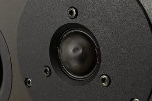 Close up of a used Dynaudio Audience 7 Standmount Speaker in a black finish showing the crippled tweeter