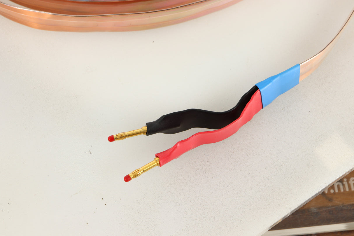 Close up view of a 3.0m ElectroFluidics Monolith 20/20 Speaker Cable 