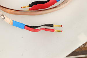 Close up view of a 3.0m ElectroFluidics Monolith 20/20 Speaker Cable 