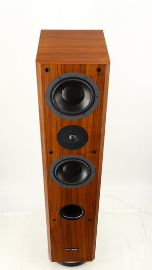Top of a used Icon Audio MFV3 Floorstanding Speaker in a rosewood vinyl finish