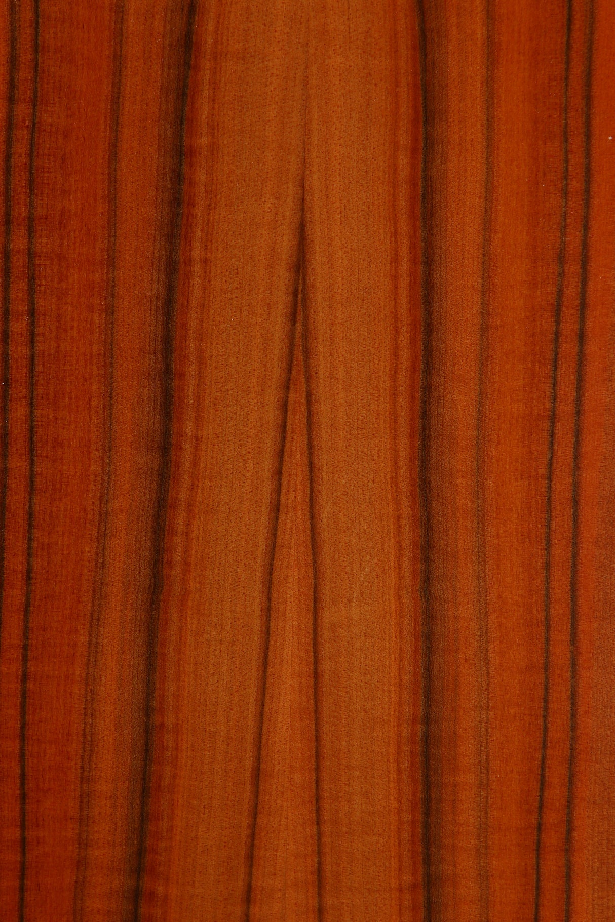 Close up view of a used Kudos Super 20A Floorstanding Speaker in Tineo finish showing a slight mark on the left side