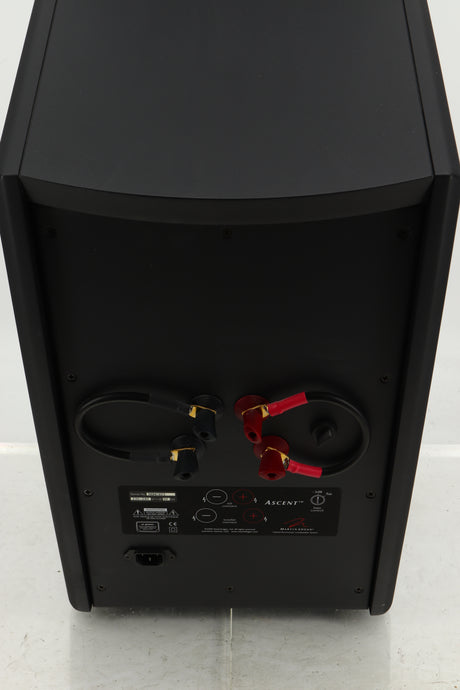Close up view of a used Martin Logan Ascent Floorstanding Speaker