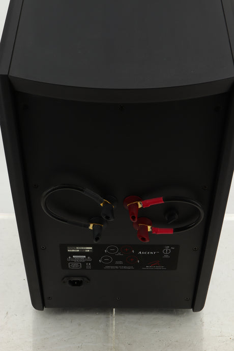 Close up view of a used Martin Logan Ascent Floorstanding Speaker