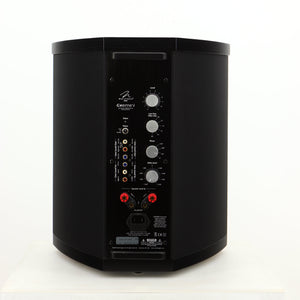 Rear view of a used Martin Logan Grotto I Subwoofer in a black finish showing Mains Input, Speaker Inputs, Phono Inputs and Phono Outputs