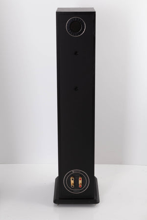 Rear view of a used Monitor Audio Bronze BX5 Floorstanding Speaker in Black Ash