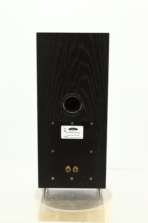 Rear view of a used NEAT Acoustics Iota Alpha Floorstanding Speaker in Black Oak finish
