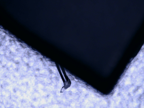 Close up of a used Ortofon Cadenza MC Cartridge in a black finish showing stylus